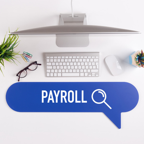 a birdseye view of a desk with a computer and plant placed on it